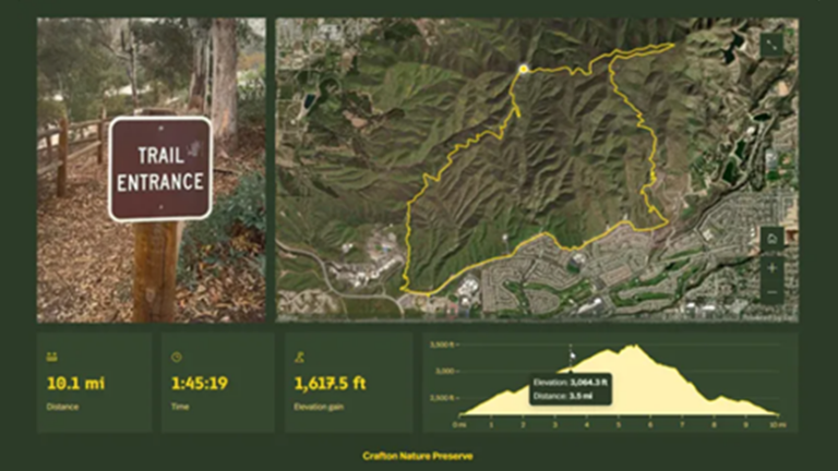 Activity map